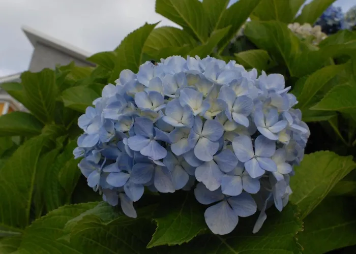 Rua Granxas, N 13, Piso Con Terraza O Estudio Sin Terraza